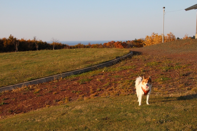 ファイル 149-7.jpg