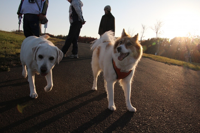 ファイル 149-8.jpg