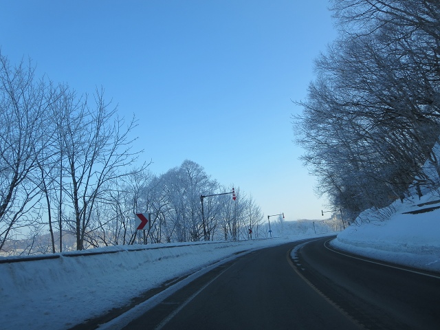 ファイル 15-1.jpg