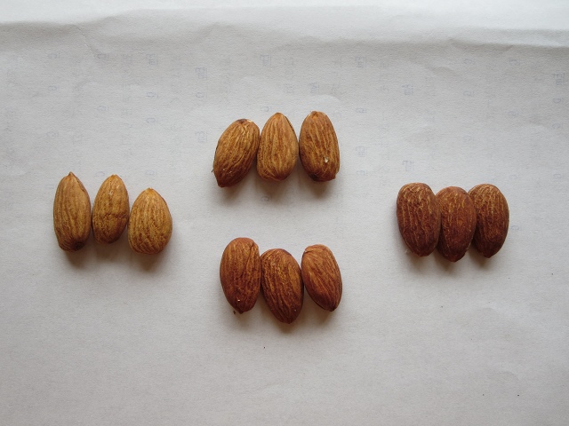 ファイル 15-5.jpg