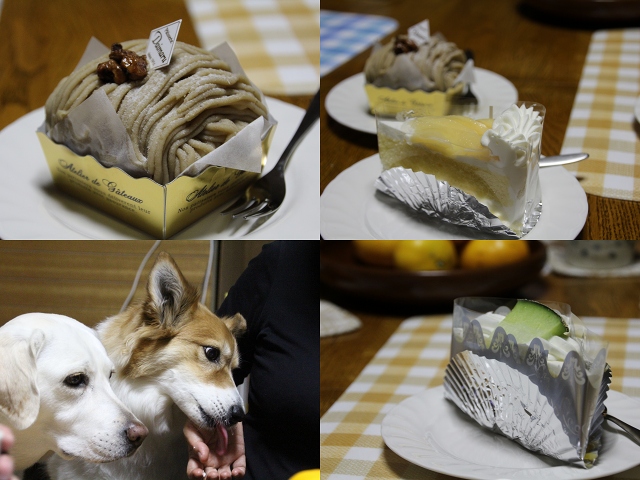 ファイル 150-9.jpg