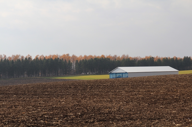 ファイル 151-3.jpg