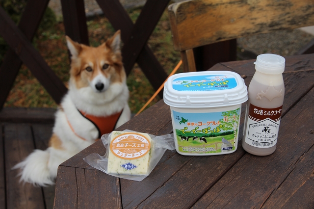 ファイル 151-9.jpg