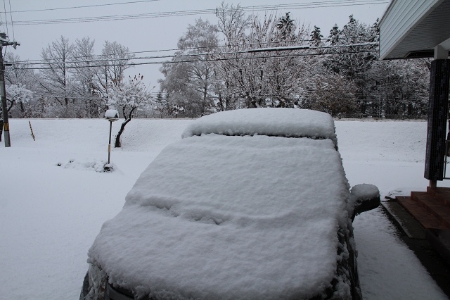 ファイル 152-1.jpg