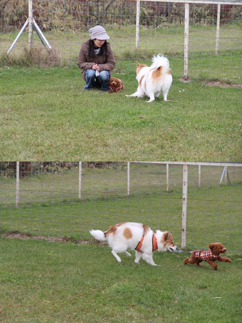 ファイル 152-2.jpg