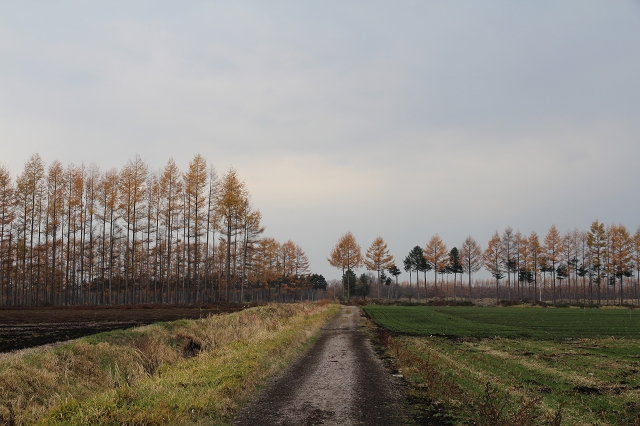 ファイル 152-4.jpg