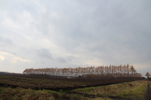 ファイル 152-5.jpg