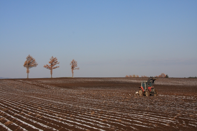 ファイル 153-2.jpg