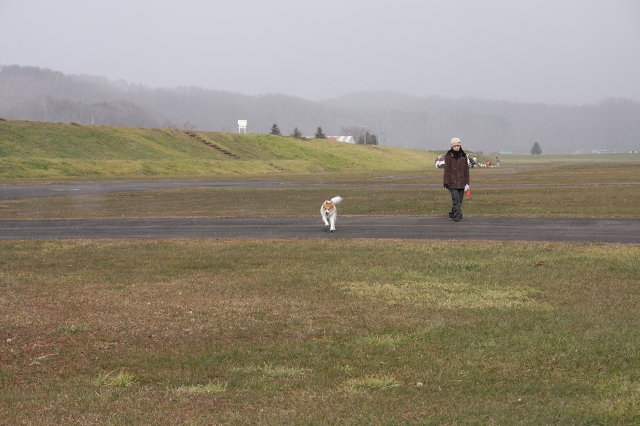 ファイル 154-1.jpg