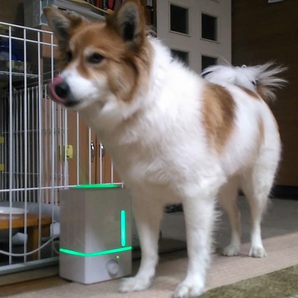 ファイル 155-2.jpg