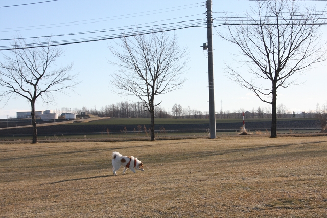 ファイル 161-2.jpg