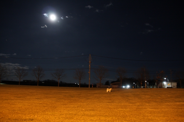 ファイル 161-7.jpg