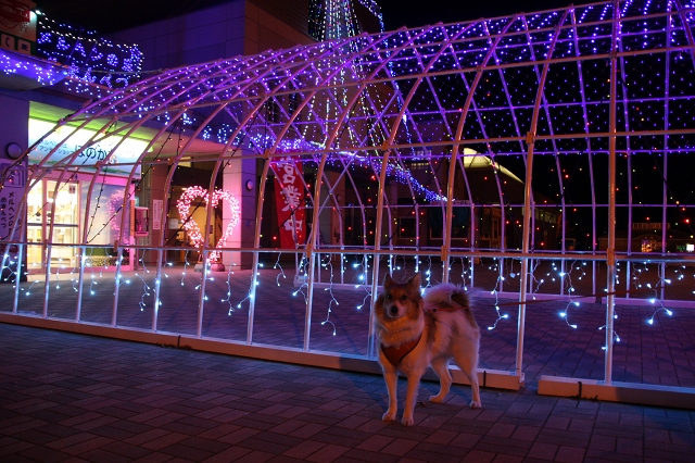 ファイル 161-8.jpg