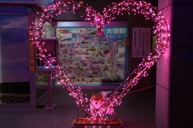 ファイル 161-9.jpg