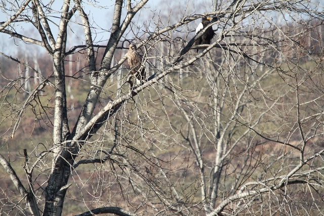 ファイル 162-2.jpg