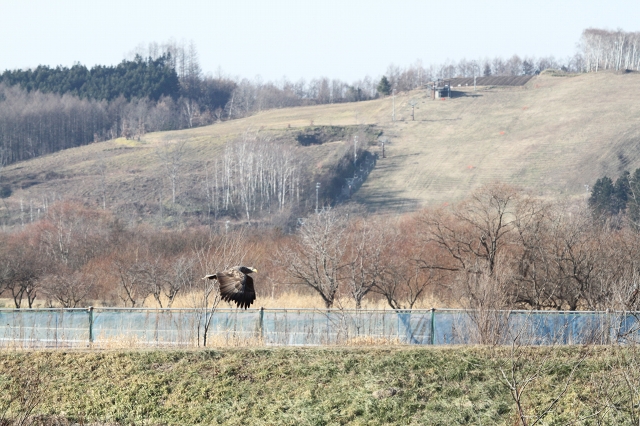 ファイル 162-3.jpg