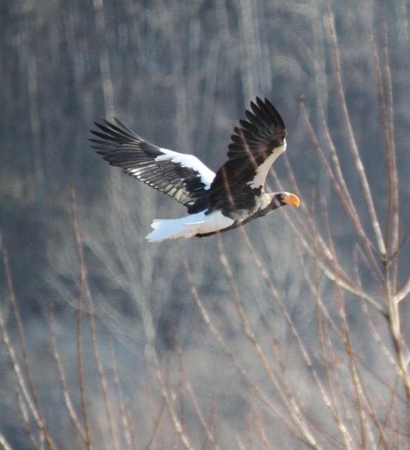 ファイル 162-6.jpg