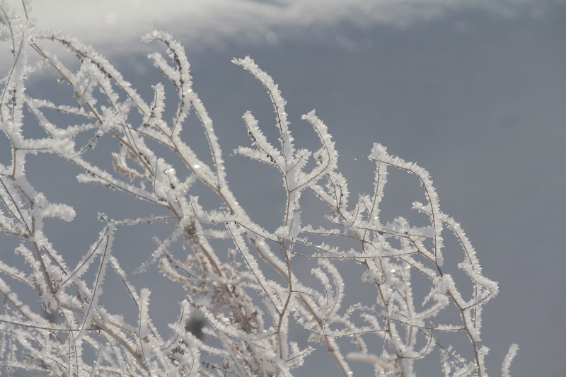 ファイル 163-1.jpg