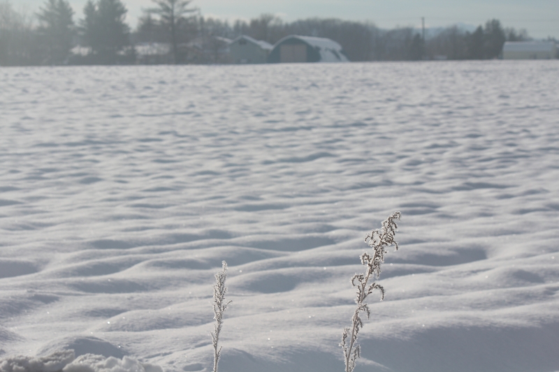 ファイル 163-2.jpg