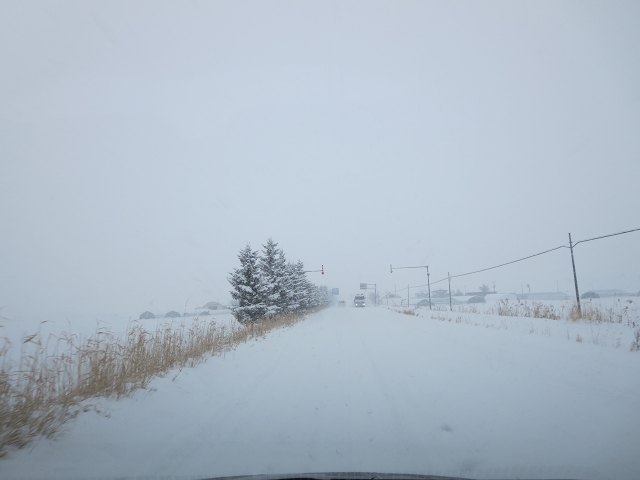 ファイル 163-6.jpg