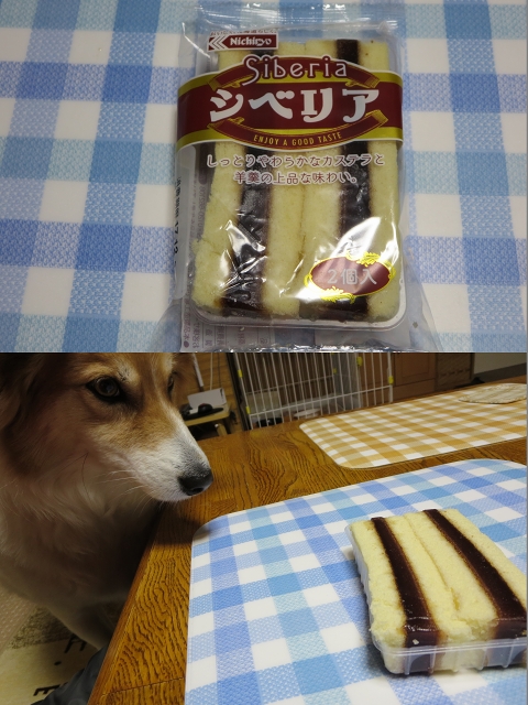 ファイル 163-9.jpg