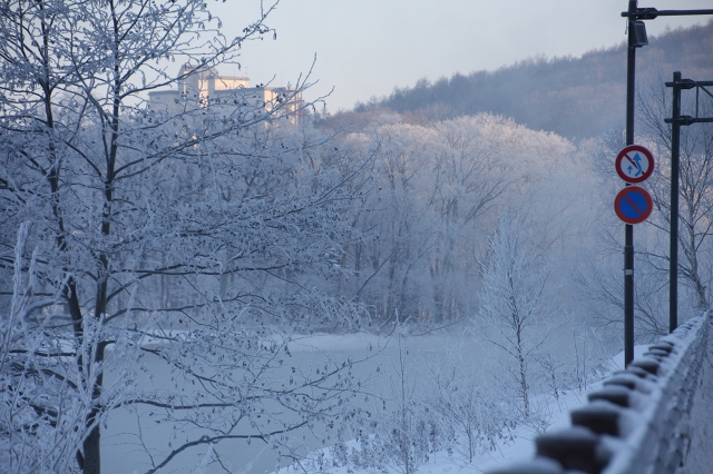 ファイル 164-5.jpg