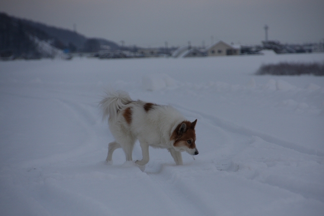 ファイル 164-8.jpg