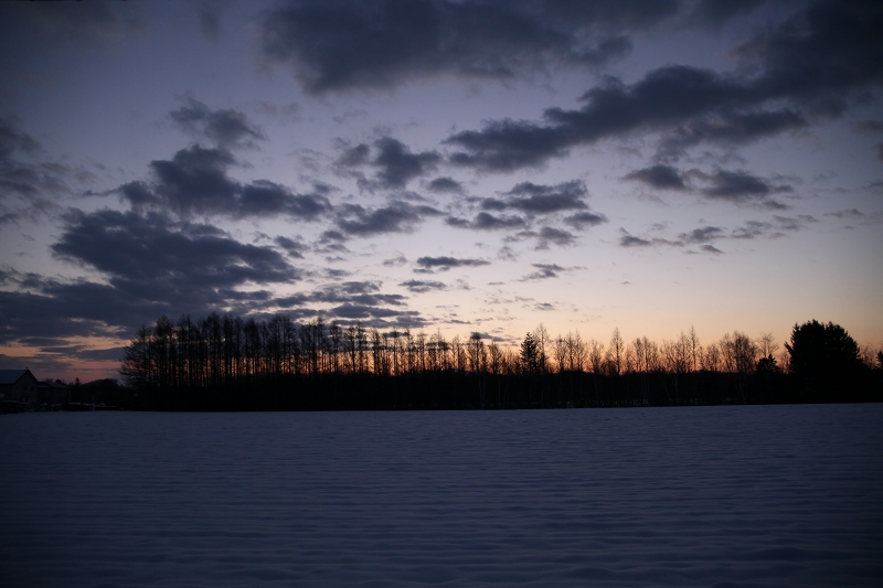 ファイル 165-1.jpg