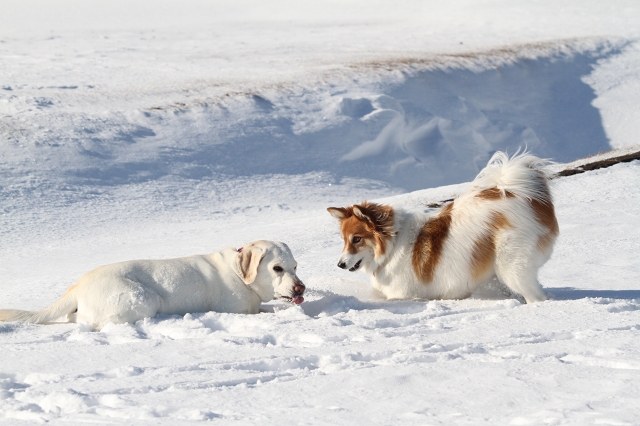 ファイル 165-2.jpg