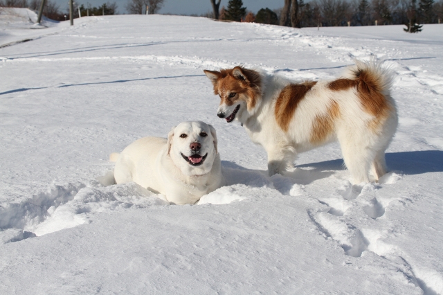 ファイル 165-3.jpg