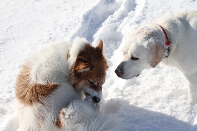 ファイル 165-4.jpg