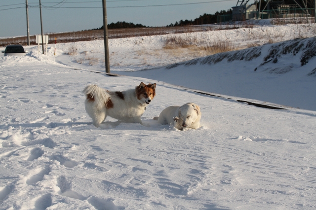 ファイル 165-7.jpg