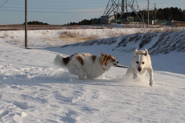 ファイル 165-8.jpg