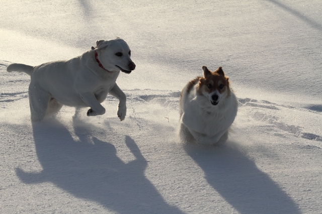 ファイル 166-2.jpg