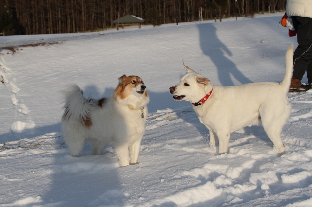 ファイル 166-3.jpg