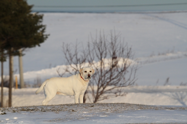 ファイル 166-5.jpg