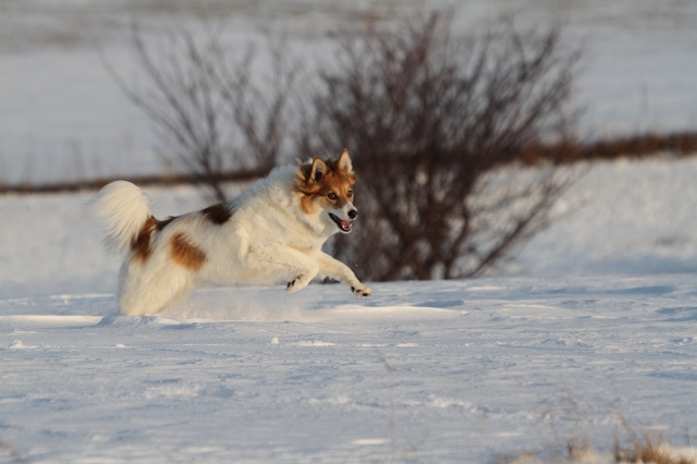 ファイル 166-7.jpg