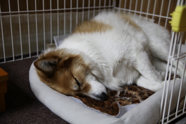 ファイル 166-9.jpg