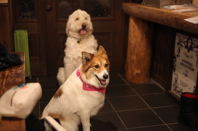 ファイル 167-4.jpg