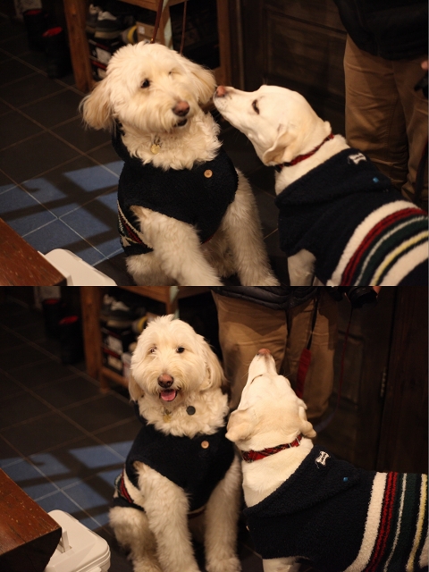 ファイル 167-6.jpg