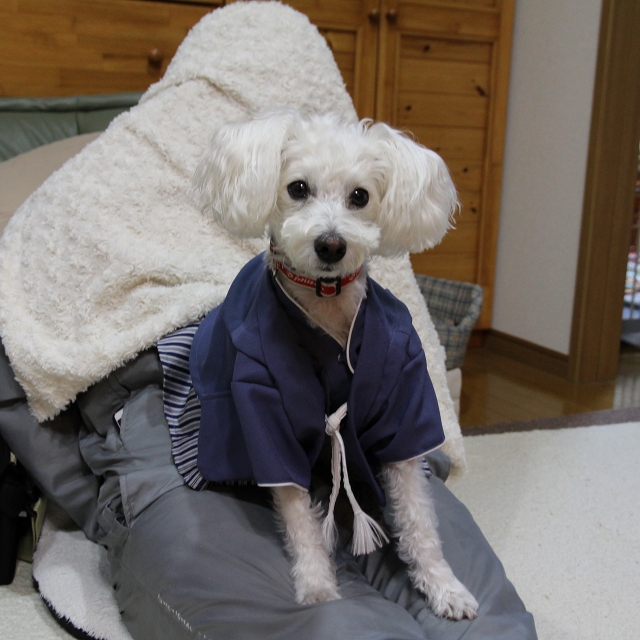 ファイル 168-4.jpg