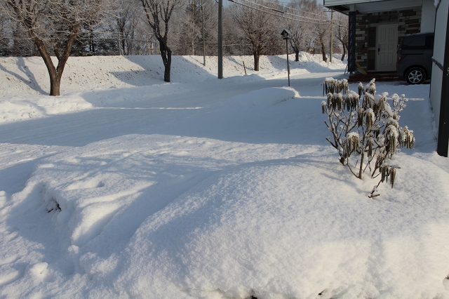 ファイル 168-5.jpg