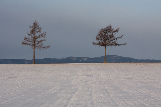 ファイル 169-1.jpg