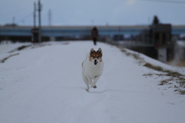 ファイル 170-4.jpg