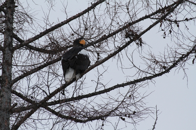 ファイル 170-5.jpg