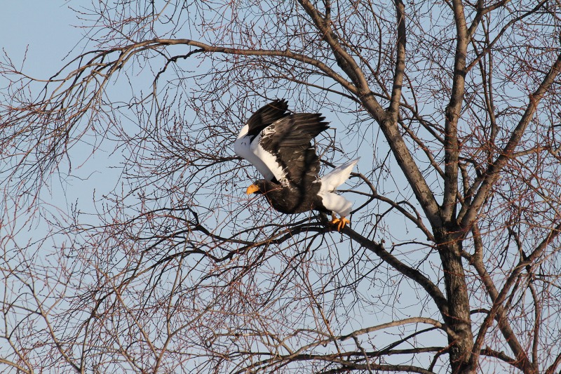 ファイル 2-2.jpg