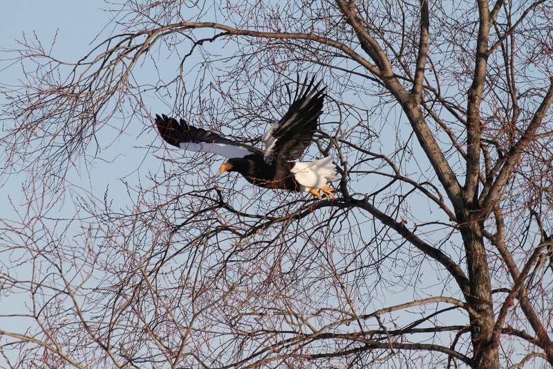 ファイル 2-3.jpg