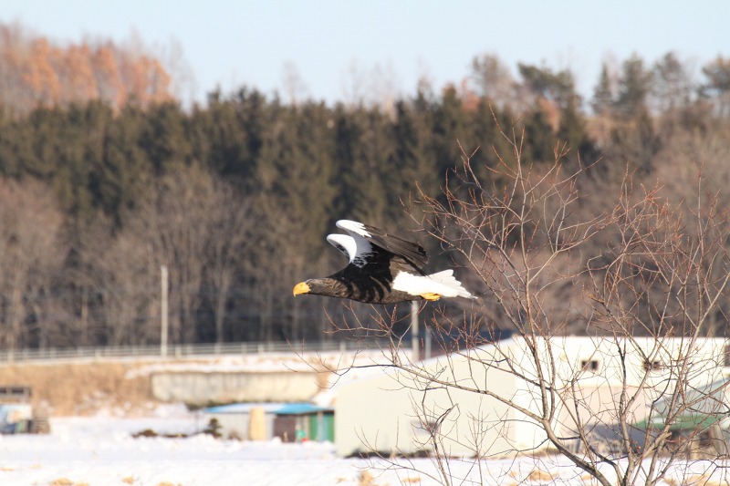 ファイル 2-4.jpg