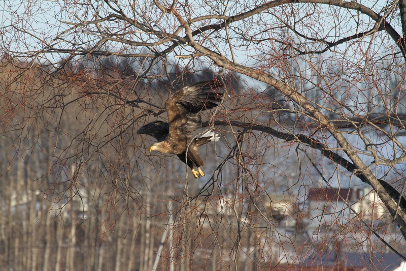 ファイル 2-5.jpg