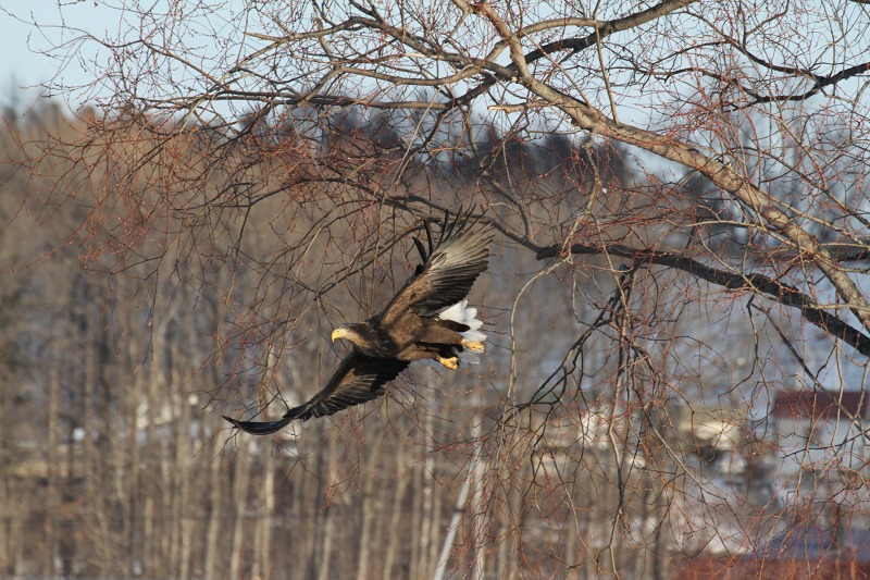 ファイル 2-6.jpg